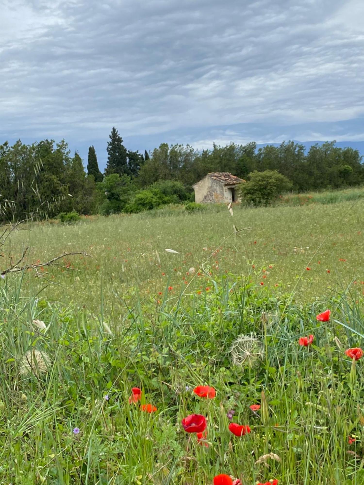 Inspiration Maison Entiere Avec Jardin Pernes-les-Fontaines Extérieur photo